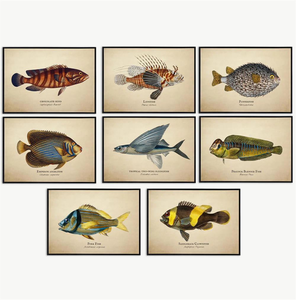 Marine Aquarium Home - Vintage Resimler Tropikal Balık Denizanası Kabukları