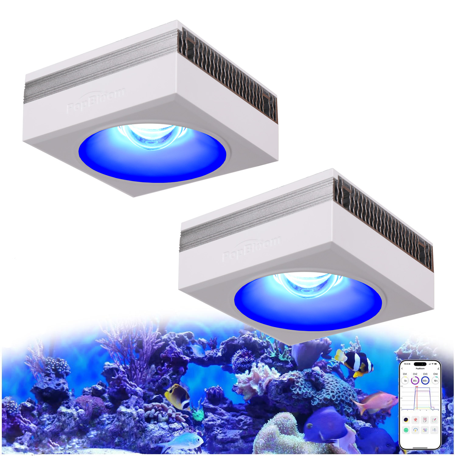 Marine X Aquarium - YENİ PopBloom RL90 WiFi Led Akvaryum