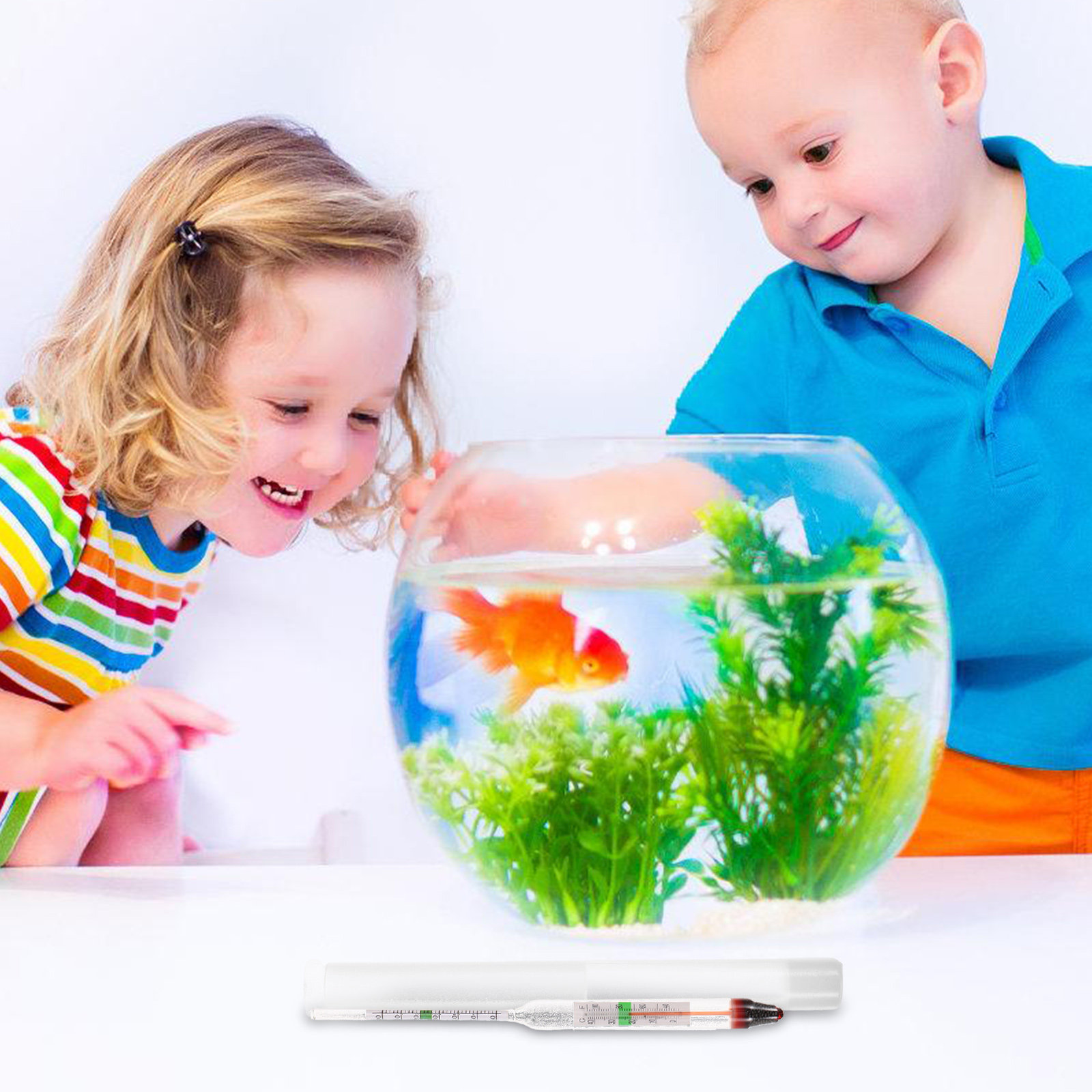 Aquarium Marine Salt - 1 Set Sağlam Plastik Cam Tuzluluk