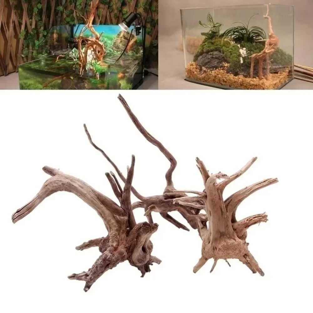 Marine Aquarium Tanks - 15-20CM Doğal Kök Ağacı Akvaryum Dekoru