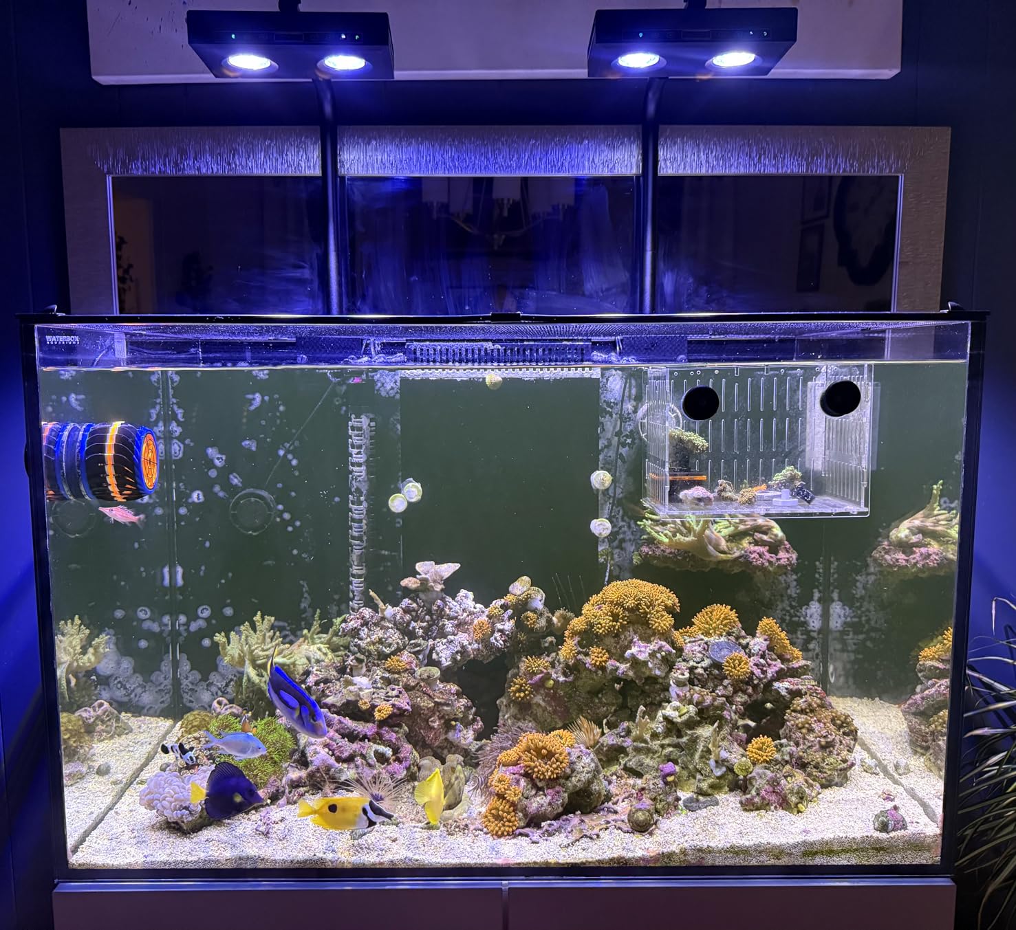 Yüksek Güçlü DIY Spektrum 90W  - Marine Aquarium Led Lights incelemesi ve fiyatı