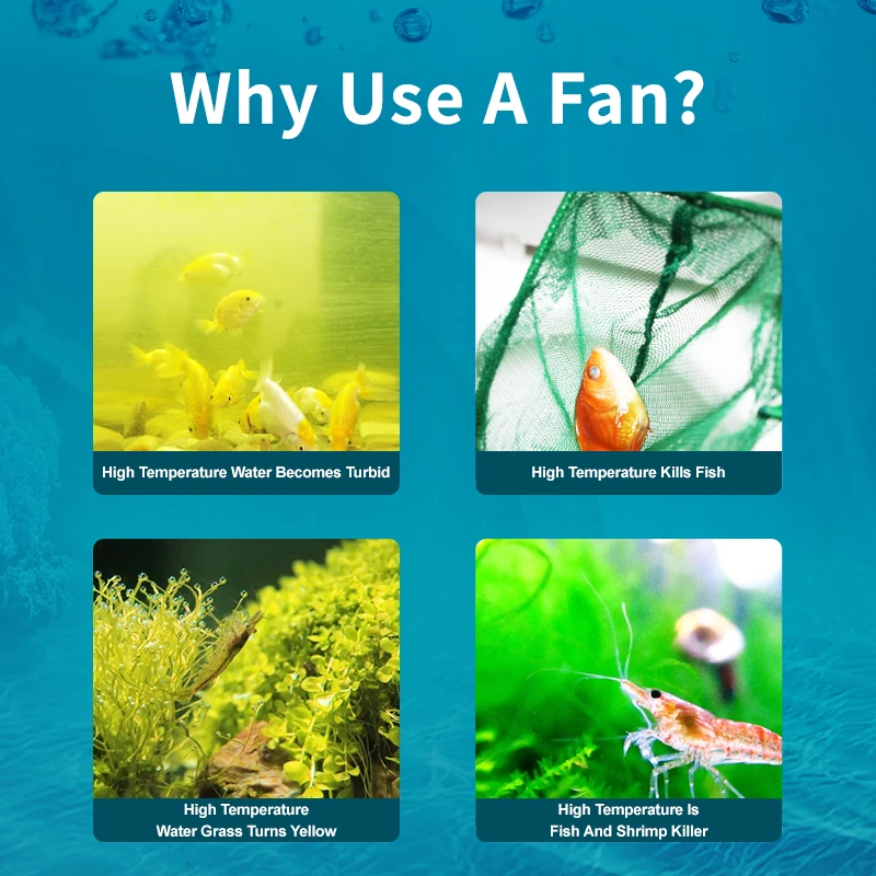Jebao Jecod ACF Serisi Akvaryu - Marine Aquarium Uk incelemesi ve fiyatı