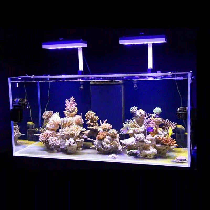 Aqua Illumination AI Hydra 32H - Marine Aquarium Led Lights incelemesi ve fiyatı