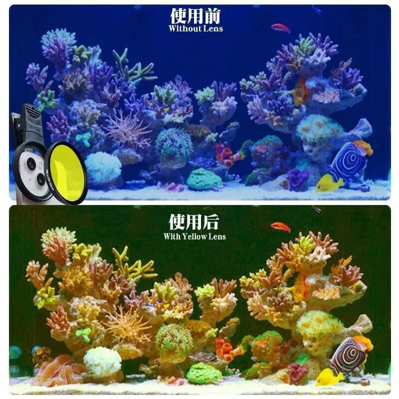 Akvaryum Mercan lensler 52mm B - Aquarium Marine Salt incelemesi ve fiyatı