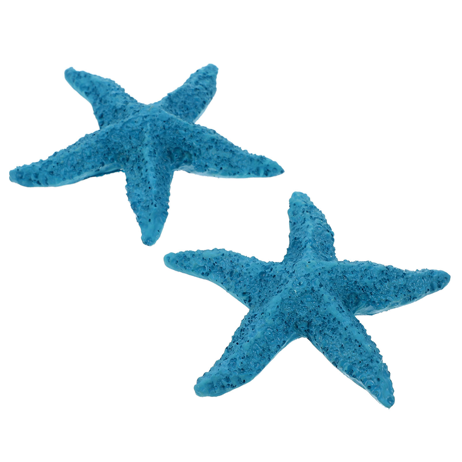 2 Adet Deniz Hayvanları Süsü R - Marine Aquarium Home incelemesi ve fiyatı