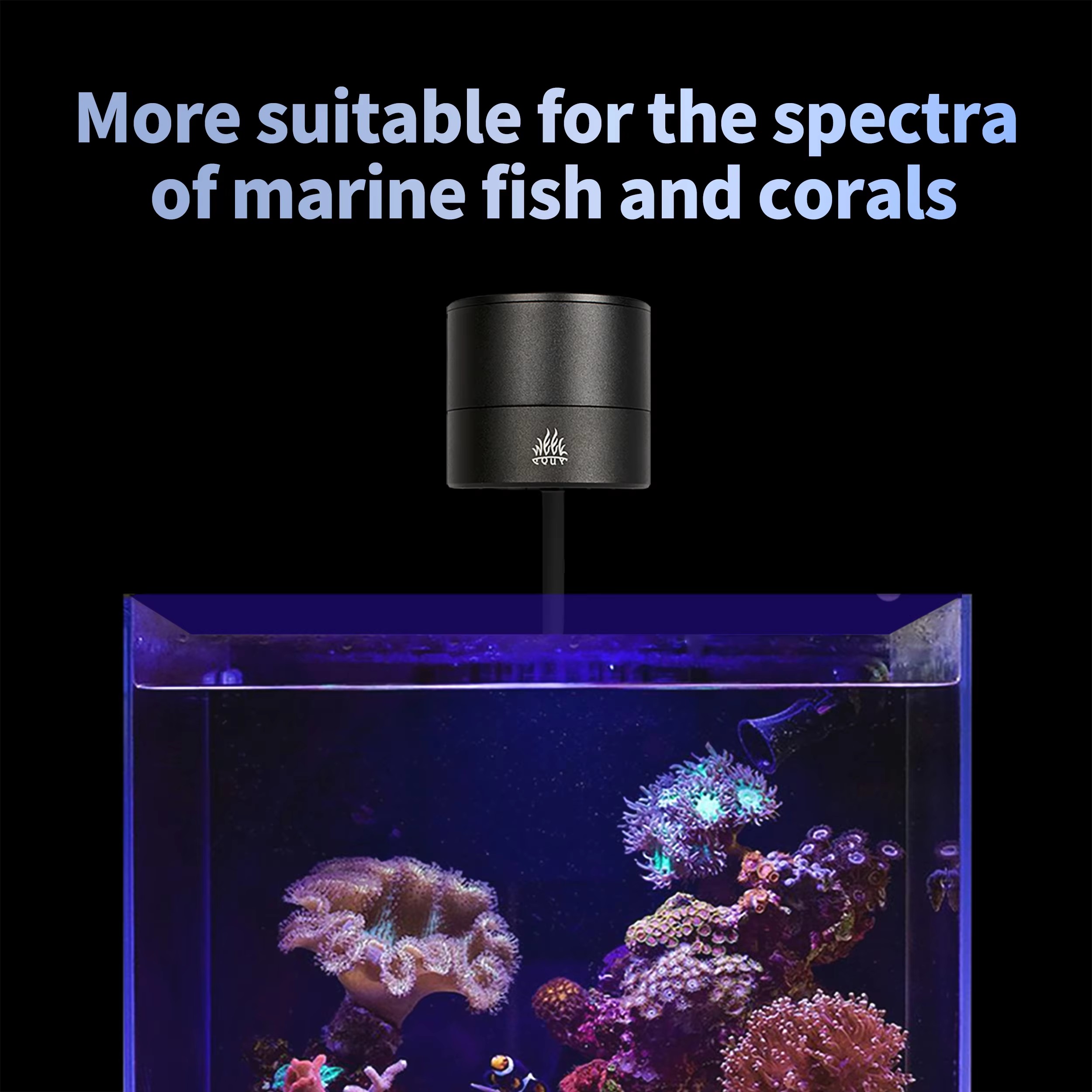 HAFTA AQUA Akvaryum Işık Üreti - Aquarium Marine Salt incelemesi ve fiyatı