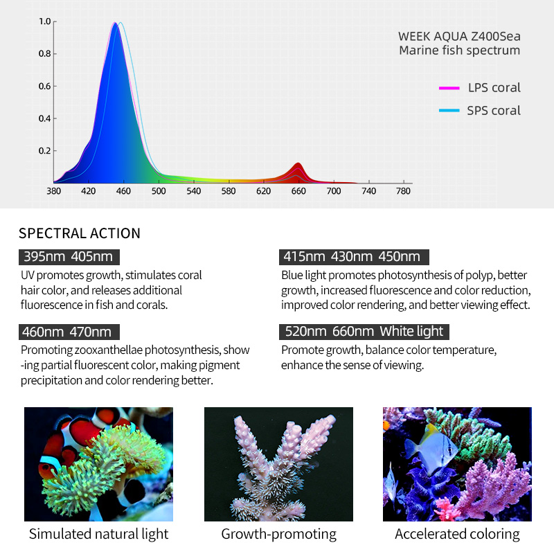 ZXY Çok Satan WEEKAQUA Z250 Z4 - Marine Aquarium Led Lights incelemesi ve fiyatı
