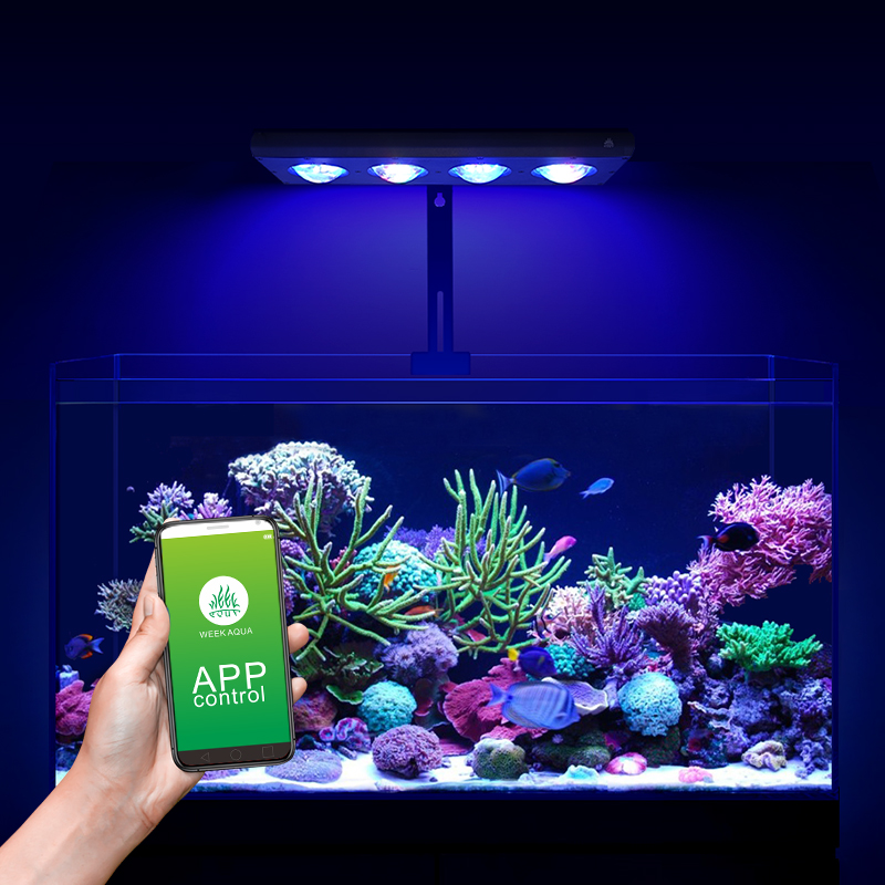 ZXY Çok Satan WEEKAQUA Z250 Z4 - Marine Aquarium Led Lights incelemesi ve fiyatı