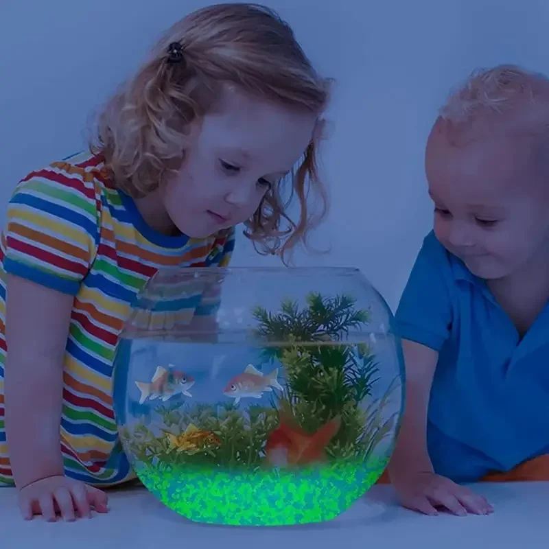 1000 adet 3-5mm Aydınlık Kum K - Marine Aquarium Tanks incelemesi ve fiyatı