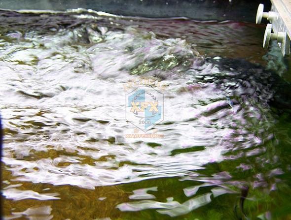 Sunsun Jvp-200 en yeni dalga y - Aquarium Marine Salt incelemesi ve fiyatı